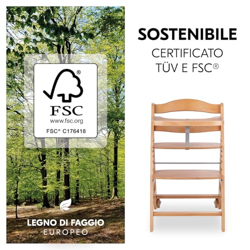 Hauck Beta+, Naturale - Kit Seggiolone Pappa Con Ruote, Vassoio, Barra Protettiva, Cuscino Di Seduta, Cintura A 5 Punti E Cinturina Inguinale - Per Bambini 6 Mesi Fino A 90 Kg - Legno Di Faggio - 7