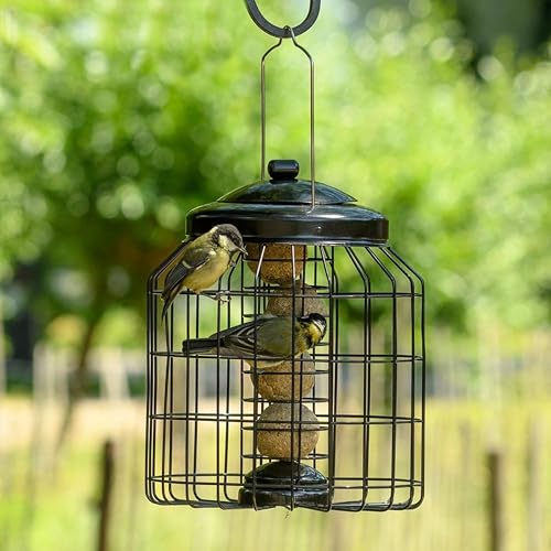 CJ Wildlife Meisenknödelhalter Meisenknödelhalterung mit Schutzkäfig 2-in-1 Futterstelle aus pulverbeschichtetem Metall wetterbeständig schwarz für kleine Wildvögel