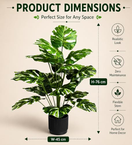 Image of Cocco.BUA Artificial Plant with Black Pot, 18 Leaves, 76 CM (2.5 Feet) (Philodendron Plant)