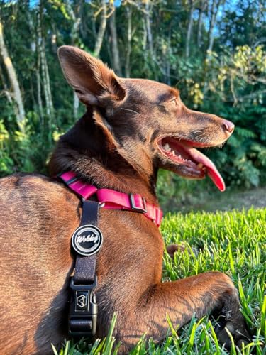 Peitoral Anti Puxão In Pink- Woldog (M)