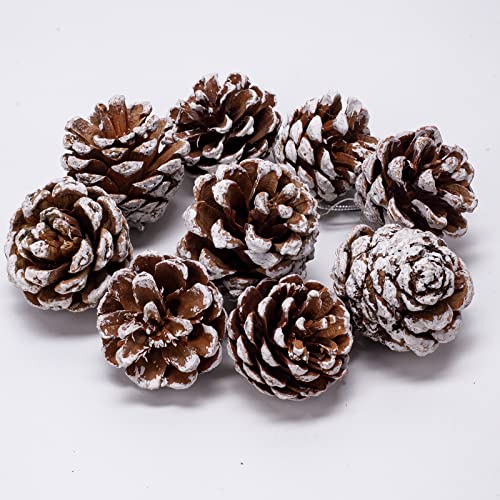 24 Stück Tannenzapfen, natürlicher Kiefernzapfen mit Schnur, 4-5 cm...