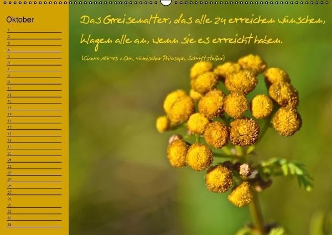 Vergiss mein nicht Geburtstagskalender (Wandkalender immerwährend DIN A2 quer): Immerwährender Terminkalender mit bildschönen Blumenmotive und ... ... Lebensweisheiten (Monatskalender, 14 Seiten)