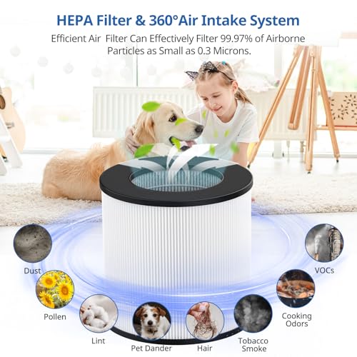 Image of KJ150 KJ910 SY910 Replacement Filter for Druiap KJ150 Air Purifier, 2 Pack