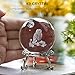 HDCRYSTALGIFTS 60mm 3D Laser Crystal Ball Paperweight OWL Figurines Glass Sphere Decorative Balls with Stand Gift