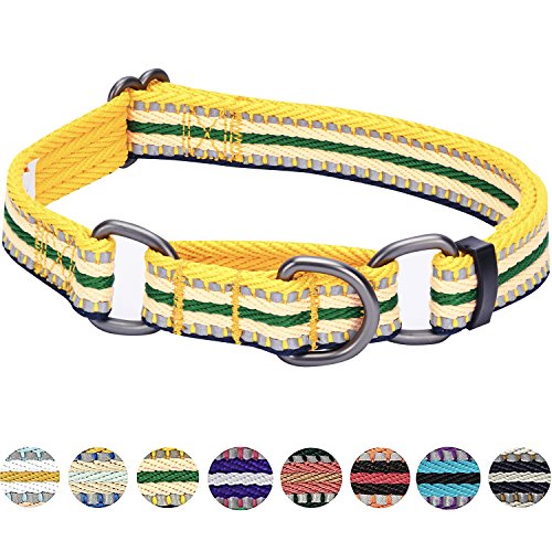 Blueberry Pet 4 Colors 3M Reflective Multi-Colored Stripe Martingale Safety Training Dog Collar, Yellow And Green, Small, Heavy Duty Adjustable Collars For Dogs #TOP5