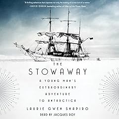 The Stowaway Audiolibro Por Laurie Gwen Shapiro arte de portada