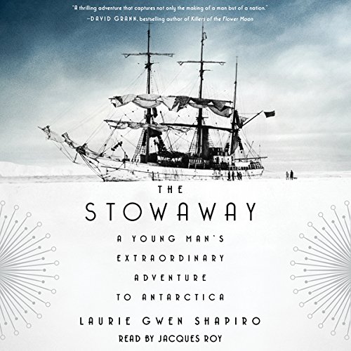 Cover art for The Stowaway