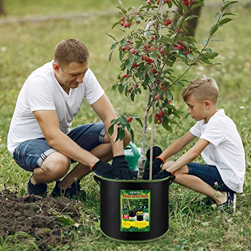 FEPITO 5 Pack 10 Gallon Grow Bags Heavy Duty Aeration Fabric Pots Plant Grow Bags with Handles Thickened Nonwoven Fabric Pots for Vegetable Fruits Flowers Plant - Thumbnail 7