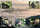 PERFEKTES GESCHENK - Unsere Kalender sind als Geschenk für den Freund, die Freundin, den Mann, die Frau, Ehemann und Ehefrau, für den Jahrestag, Geburtstag, den Hochzeitstag, zur Verlobung, zum Einzug, für Kinder und Erwachsene, für frisch Verliebte oder ein altes Ehepaar, für Oma und Opa, für Papa und Mama, für jung und alt geeignet.