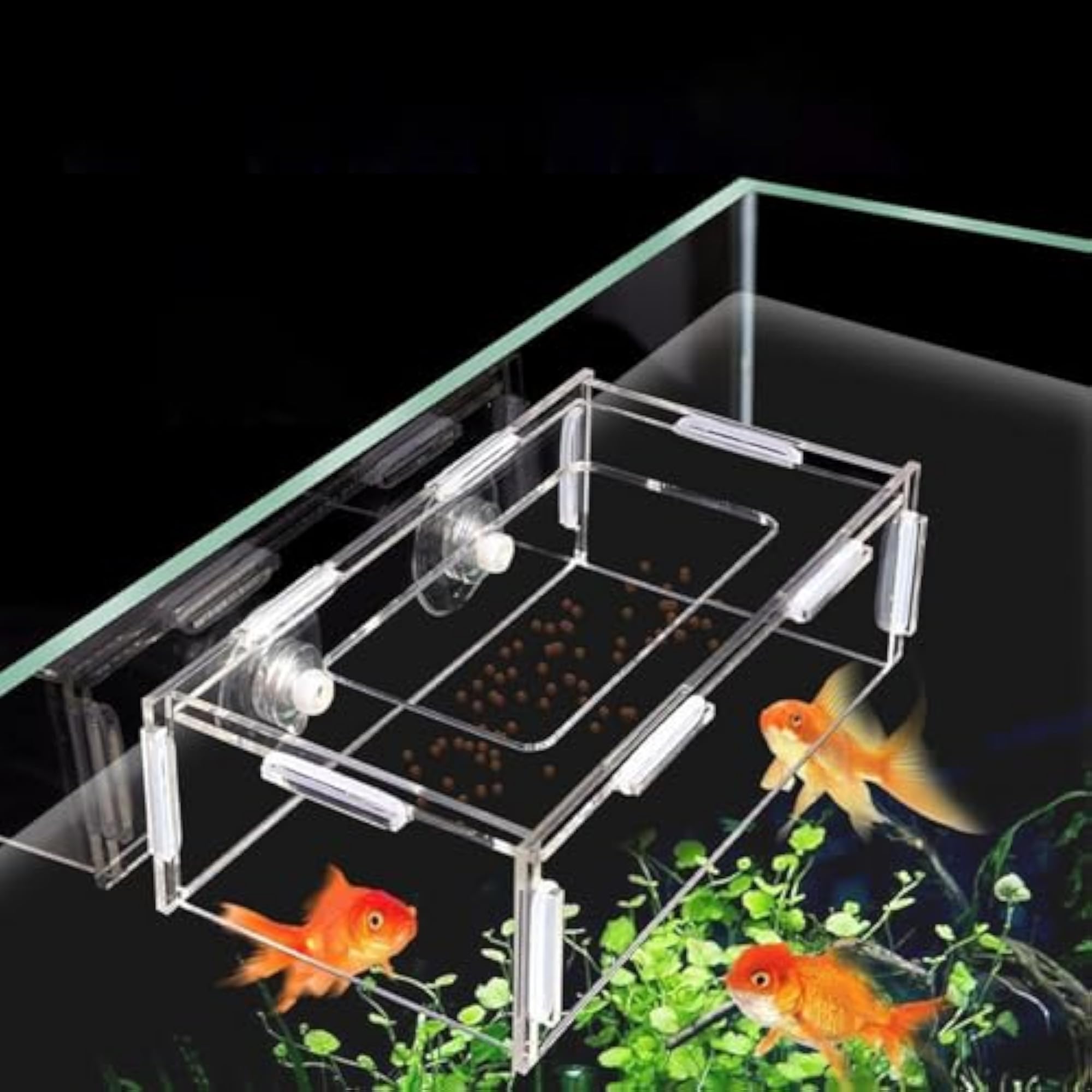 Professional Feeding Dish Tray for Fish Tank XL