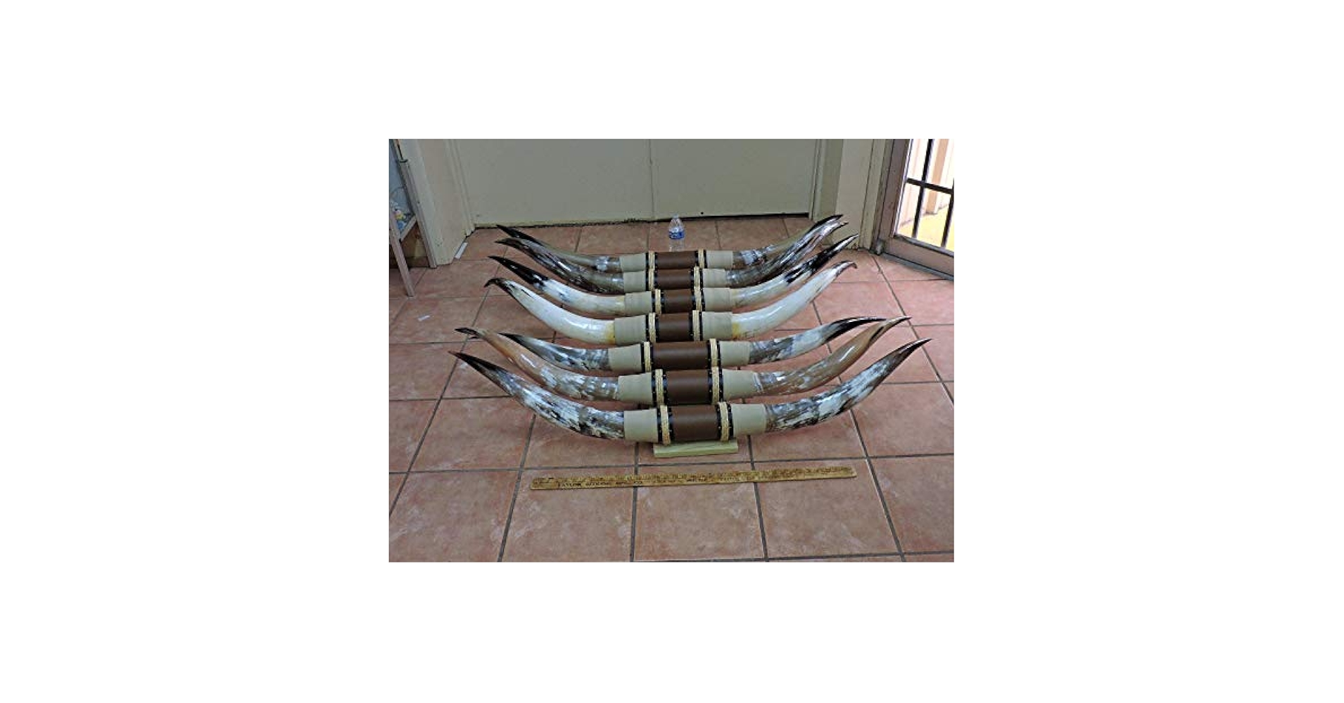 Real Mounted Steer Cow Bull Texas Long Horns (One Set Only