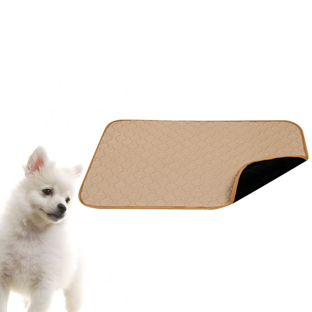 FRCOLOR Tappetino Igienico Lavabile per Cani e Cuccioli, Riutilizzabile, Assorbente, , Confortevole per Casa e Addestramento