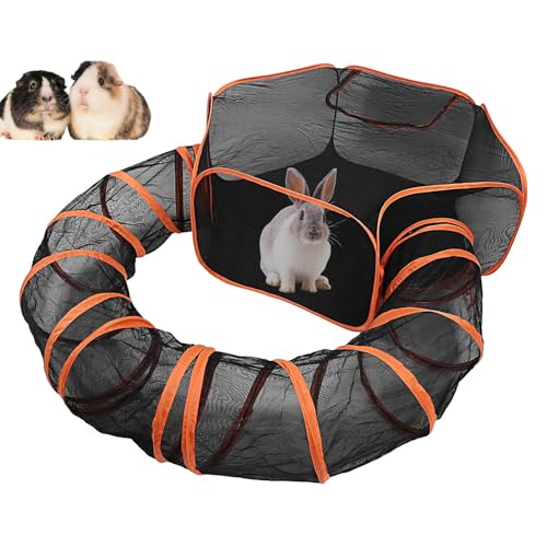 KJOET OLpP[W | LOnEX | ʋC܂肽݃P[W{bNX ^p|[^uvCOEh sEԓEΉ