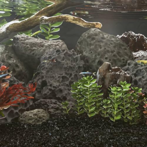 Le rocce vulcaniche sono un'aggiunta perfetta al fondo della vostra vasca dei pesci o del vostro acquario, e vi aiuteranno a creare un bellissimo mondo sottomarino.