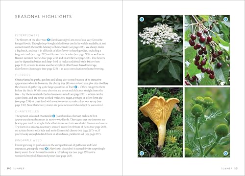 Wild Food UK Forager's Cookbook: More than 180 recipes celebrating the best of Britain's wild foods - Image 5