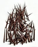 Superior Size for Maximum Impact – Each thorn measures 3 to 4 inches in length, offering a larger, more dramatic look than standard sizes. These naturally sourced Black Locust thorns are perfect for spellwork, altar decor, and bold DIY projects that ...