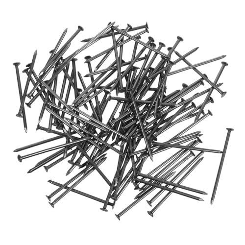 Alipis 500g Chiodi Per Ferramenta Da Chiodi in Ferro Per Recinzioni Fissaggio Per Telaio Porta Chiodo Per Muratura e Giardinaggio