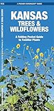 Kansas Trees & Wildflowers: An Introduction to Familiar Species (Wildlife and Nature Identification)