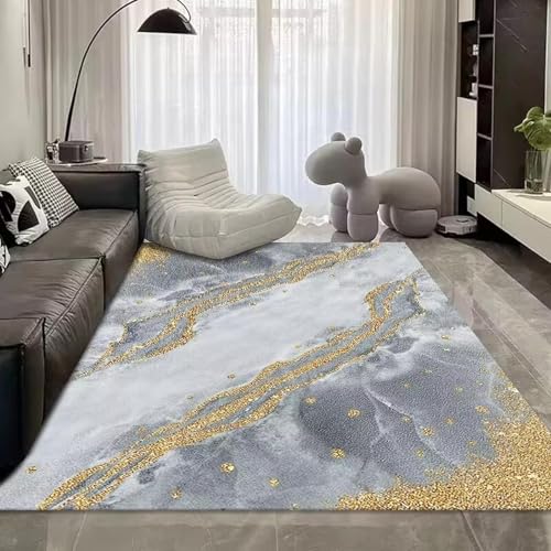 Tapis Grand Format Salon Chambre Lavable Entrée Bain Moderne 90x120cm - 2
