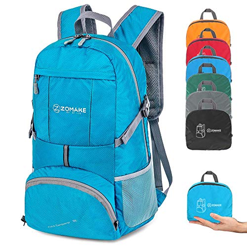 10 Best Backpack To Take To Disney World in 2023 (July update)