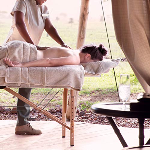 Portable Massage Table Massage Bed Spa Bed Height Adjustable 73 Inch Long 28 Inch Wide 2 Fold Massage Table Pu Portable Salon Bed Carry Case Reiki Table #TOP2