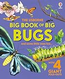Big Book of Big Bugs (Big Books)