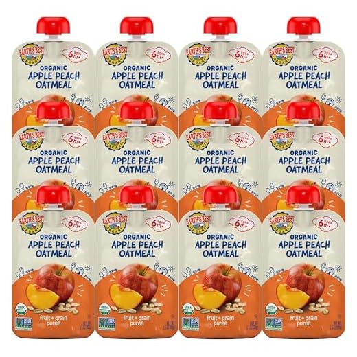 Earth's Best Organic Baby Food Pouches, Stage 2 Fruit and Grain Puree for Babies 6 Months and Older, Organic Apple Peach and Oatmeal Puree, 3.5 oz Resealable Pouch (Pack of 12)