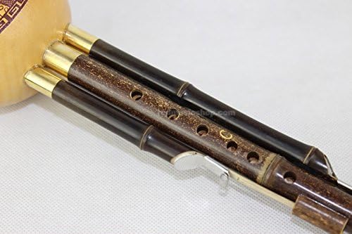 Chinese Hulusi, Gourd&bamboo Flute, Adjustable, with Case (C Key)
