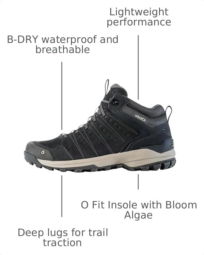 Image of Oboz Sypes Mid Leather B-Dry Hiking Shoe - Men's