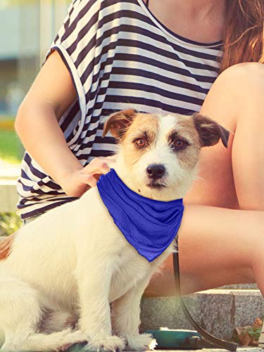 Boao 6 Pieces Chiffon Scarf 1950s Square Neck Head Scarfs Vintage Soft Polyester for Women Lady4