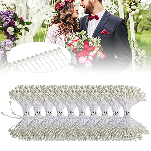 HERCHR 900 Pezzi Stame di Fiori,Pistilli per Fiori...