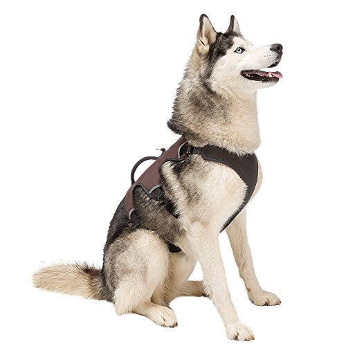 Ferplast Hundegeschirr Large ERGOTREKKING Large, Ausbruchsicheres Hundegeschirr, Greyhound, Perfekte Passform, Verstellbares Geschirr für Hunde, Reflektierend, Gepolstert, 6 Verschlüsse
