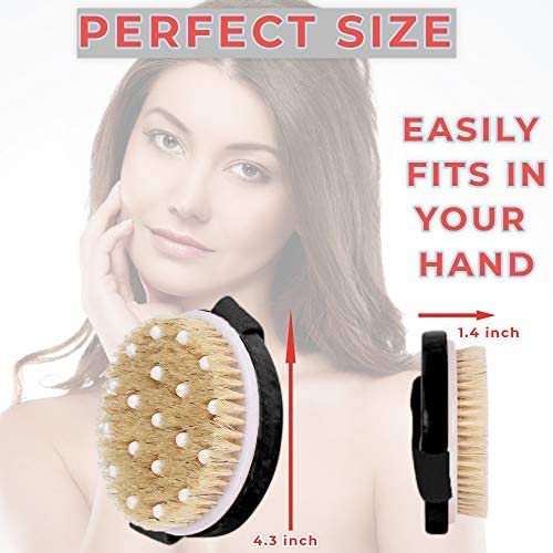 Image of Avilana Loofah Exfoliating Body Scrubber 2 in 1 Face And Body Silicone Scrubber - Antibacterial Silicone Shower Brush Bath Sponge Loofa (Pack of 2, Blue)