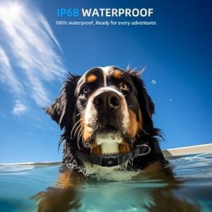 Upgraded Airtag Dog Collar Ip68 Waterproof Air Tag Dog Collar Holder Reflective Ultradurable Comfortable Padded Heavy Duty Dog Collars for Small Medium Large Dogs s 106136 Black  Cucciolini Doodles Upgraded airtag dog collar ip68 waterproof air tag dog collar holder reflective ultra durable comfortable padded heavy duty dog collars for small medium large dogs s 10 6 13 6 black   cucciolini doodles