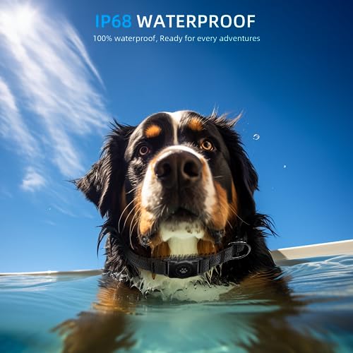 Upgraded Airtag Dog Collar Ip68 Waterproof Air Tag Dog Collar Holder Reflective Ultradurable Comfortable Padded Heavy Duty Dog Collars for Small Medium Large Dogs s 106136 Black  Cucciolini Doodles Upgraded airtag dog collar ip68 waterproof air tag dog collar holder reflective ultra durable comfortable padded heavy duty dog collars for small medium large dogs s 10 6 13 6 black   cucciolini doodles