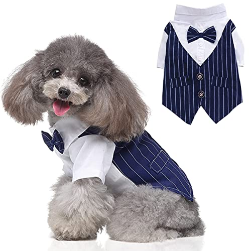 Disfraz de esmoquin para perros talla XL azul