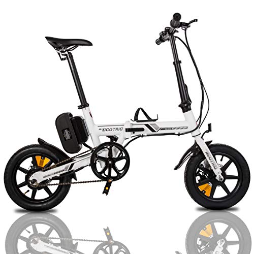 ECOTRIC Portable Electric City Bike Aluminum 14 inch Folding Frame 36V/8AH Lithium Battery
