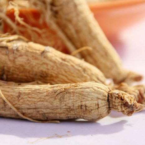 White Ginseng Root or Shen Herb | You Ji Bai Shen - Chinese Herb 1 Oz
