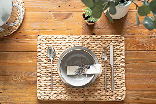 Set de table jacinthe d'eau rectangulaire 43x32 dessous de plat rotin