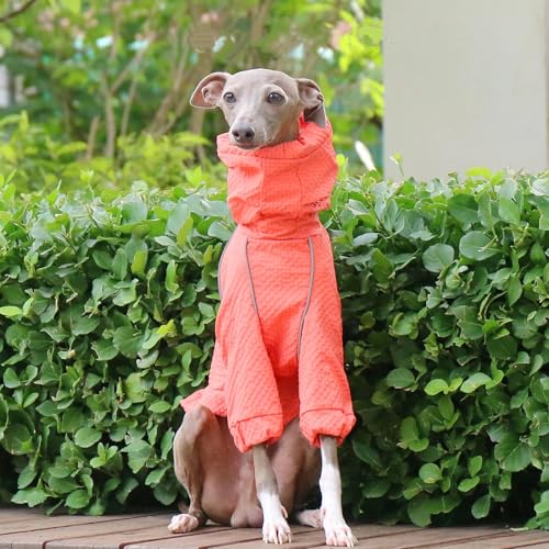 IUOUTG Hundeleichter Jacke Windbreaker, Rollkragenpet Haustier Outdoor Sportjacke, wasserdichte Italienische Windhundmantel Whippet -Kleidung Für Hunde