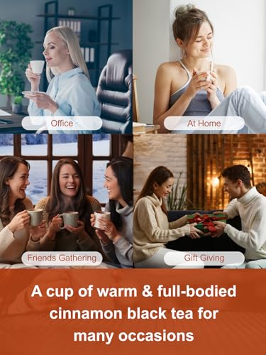Image of TeeLux Cinnamon Black Tea Bags, Premium Blend with Natural Cinnamon, Smooth & Mellow Flavor, 100 Count