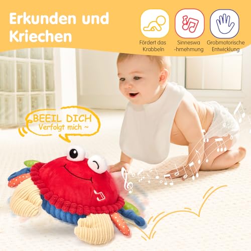 hahaland Krabbe Baby Spielzeug 6 8 9 10 12 Monate, Musikalische Krabbelspielzeug, Crawling Crab Tummy Time Toy, Spielzeug ab 6 Monate fürs Krabbeln Lernen, Baby Geschenk Babyspielzeug ab 1 2 Jahre