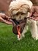 TrendPet Kurt Futterdummy Trainingsdummy für Hunde (M, braun)