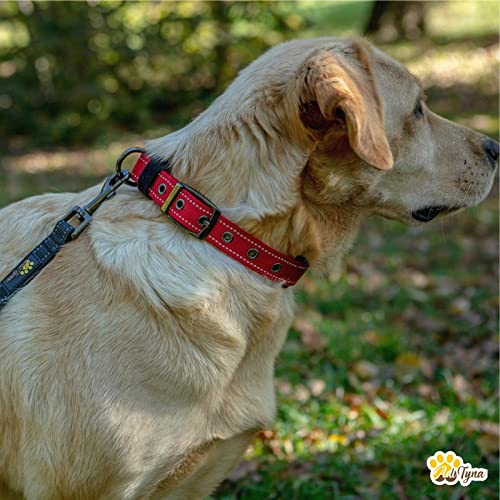 Heavy-Duty Dog Collar For Large Dogs With Metal Buckle - Ultra Comfortable Soft Neoprene Padded - Thick, Reflective, Adjustable, Weatherproof #TOP2