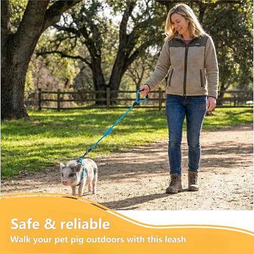 Image of Mini Pig Harness, Adjustable Small Pig Harness with Leash Infinity Style Lead and Soft Foam Handle for Small to Medium Pet Pigs Walking Training Jogging (Blue, L)