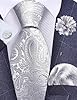 Gusleson Silver Tie for Men Wedding Silk Paisley Necktie Pocket Square Cufflinks and Lapel Pin Brooch Set (UK6103-39) #1
