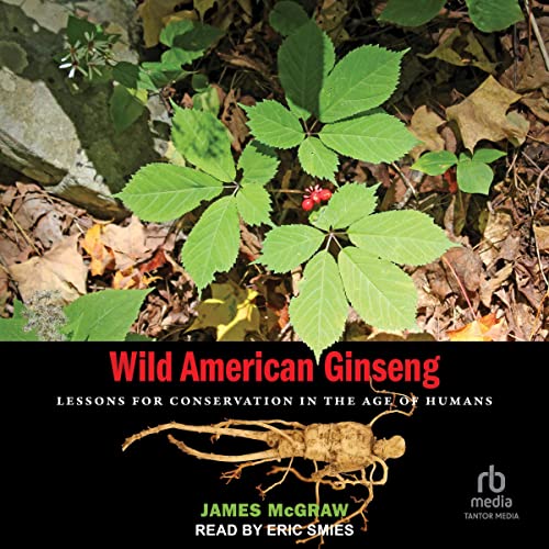 Wild American Ginseng by James McGraw episode artwork