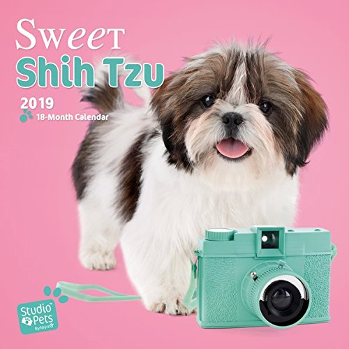 Sweet Shih Tzu - Shih Tzu 2019 - 18-Monatskalender: Original Myrna-Kalender Sweet Shih Tzu - Shih Tzu 2019 - 18-Monatskalender: Original Myrna-Kalender