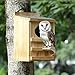 Screech Owl House With Bird Stand - Large Cedar Premium and Weatherproof Design - Prebuilt Box for Outside With Mounting Screws, Easy Assembly