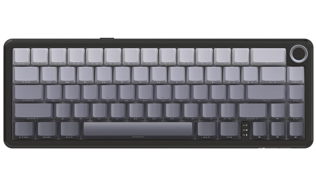 Amazon.com: MAMBASNAKE Attack Shark X66 Gasket Wireless